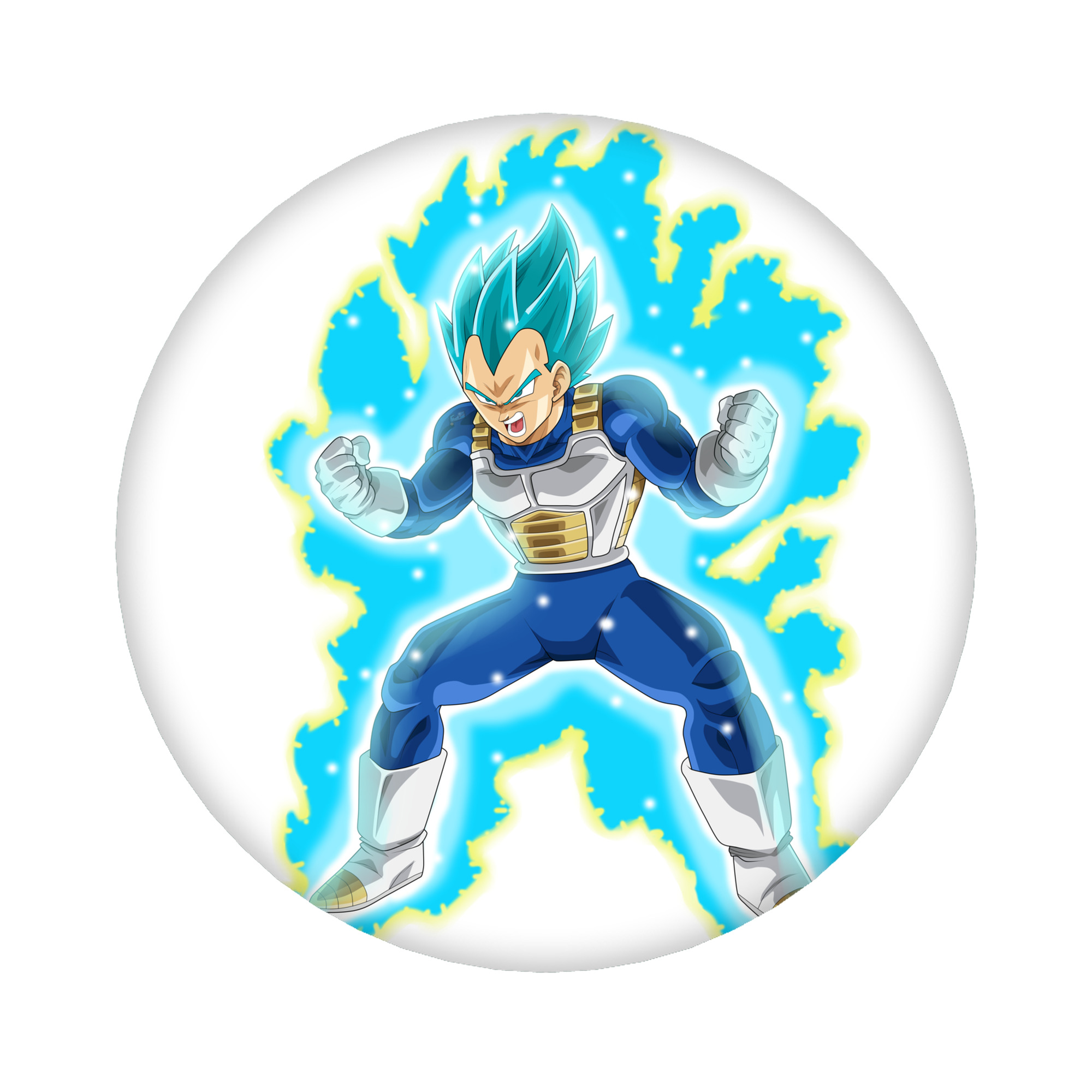 （画像用） ドラゴンボール ベジータ四世（Bejīta Yonsei）DRAGON BALL Vegeta IV 6cm 缶バッジ 複数セット