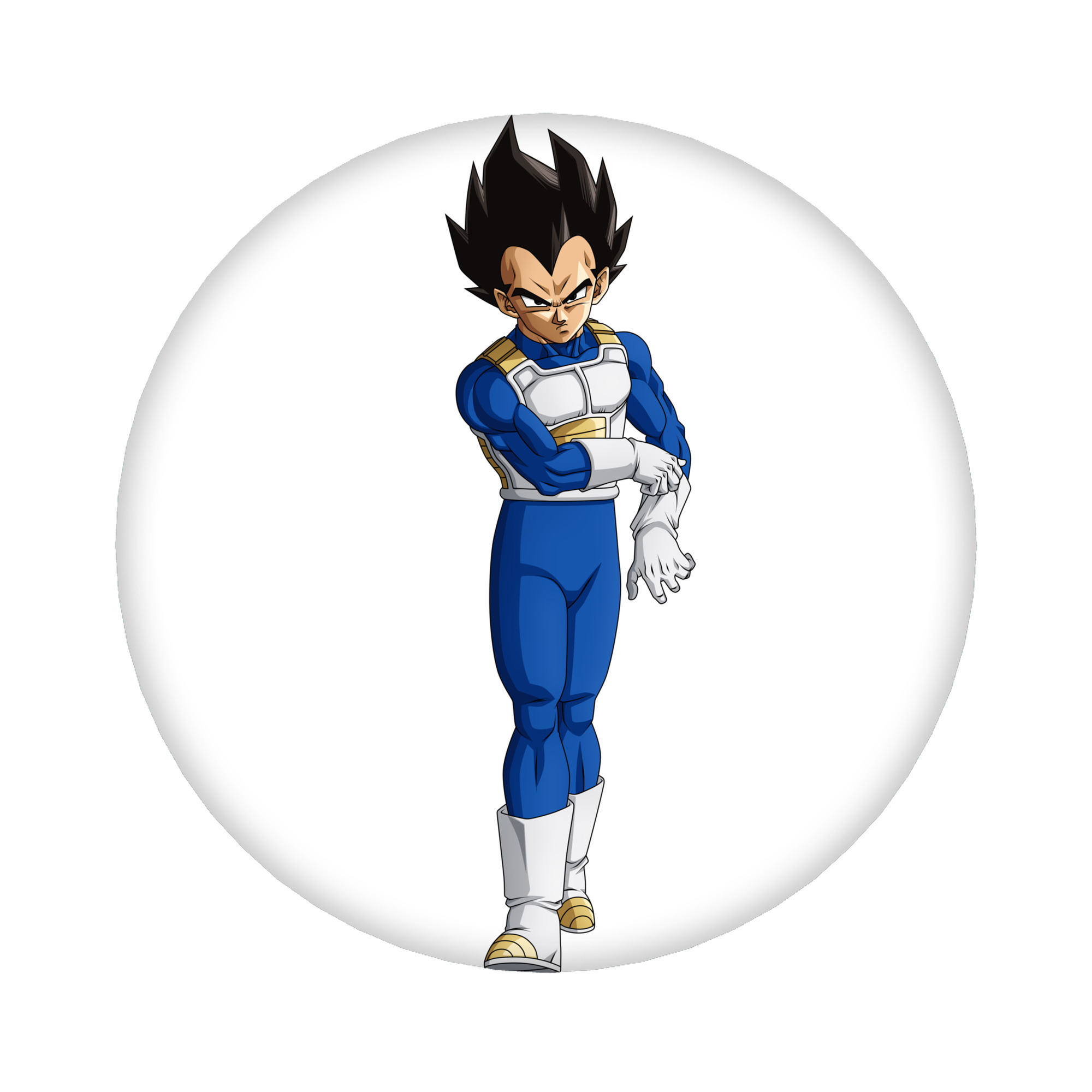 （画像用） ドラゴンボール ベジータ四世（Bejīta Yonsei）DRAGON BALL Vegeta IV 6cm 缶バッジ 複数セット