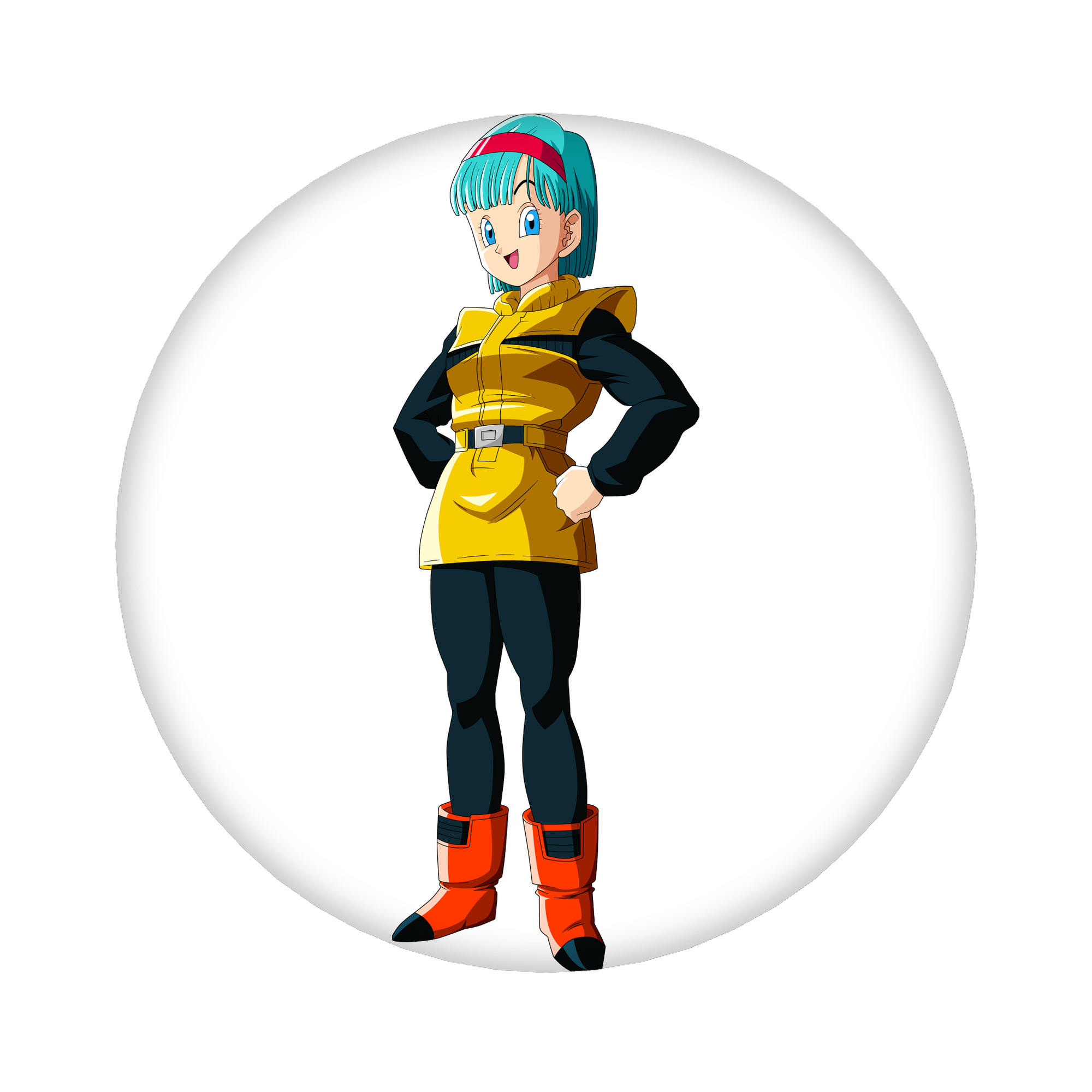 （画像用） ドラゴンボール DRAGON BALL 6cm 缶バッジ 複数セット